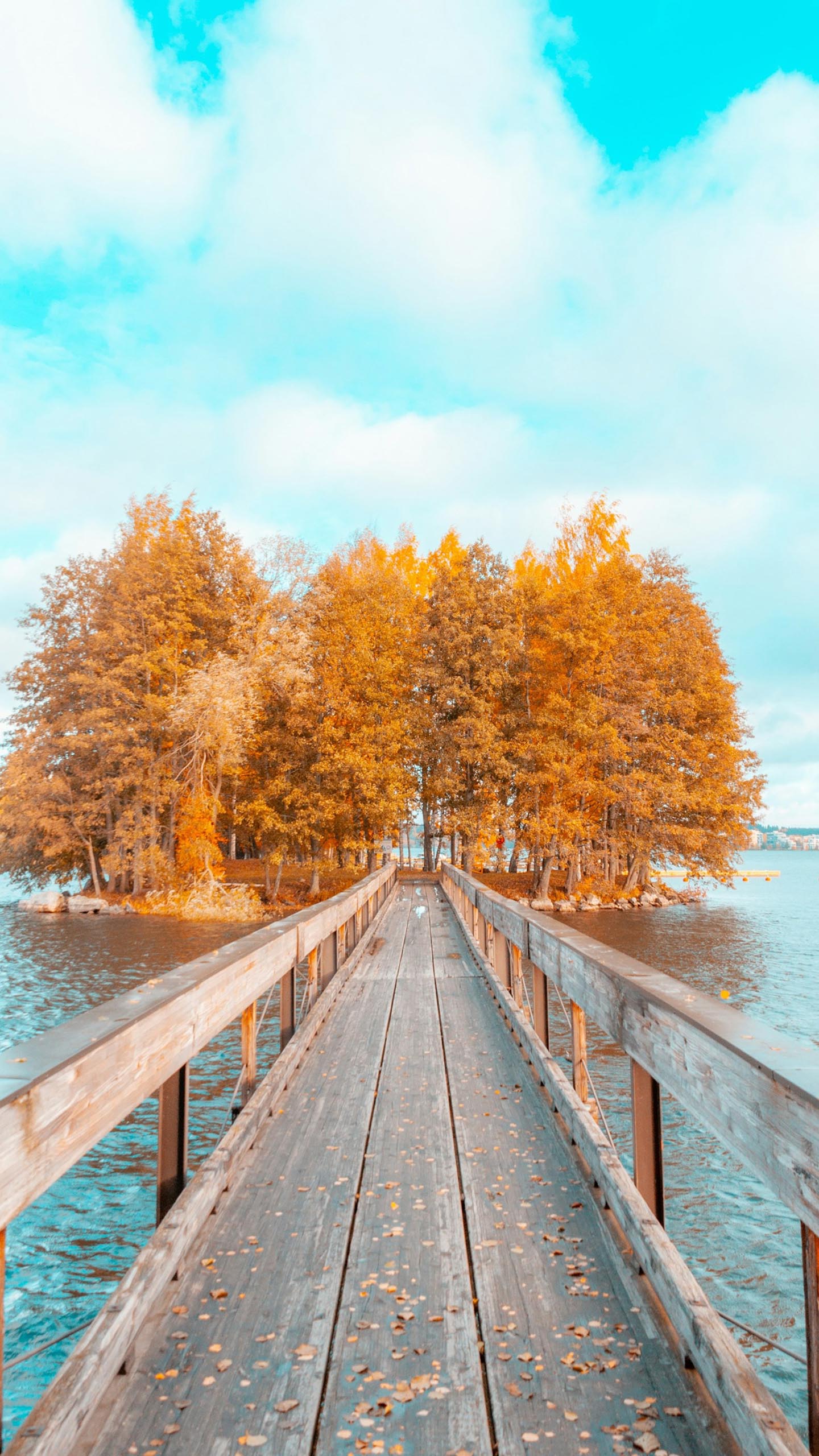 Joyful Journeys