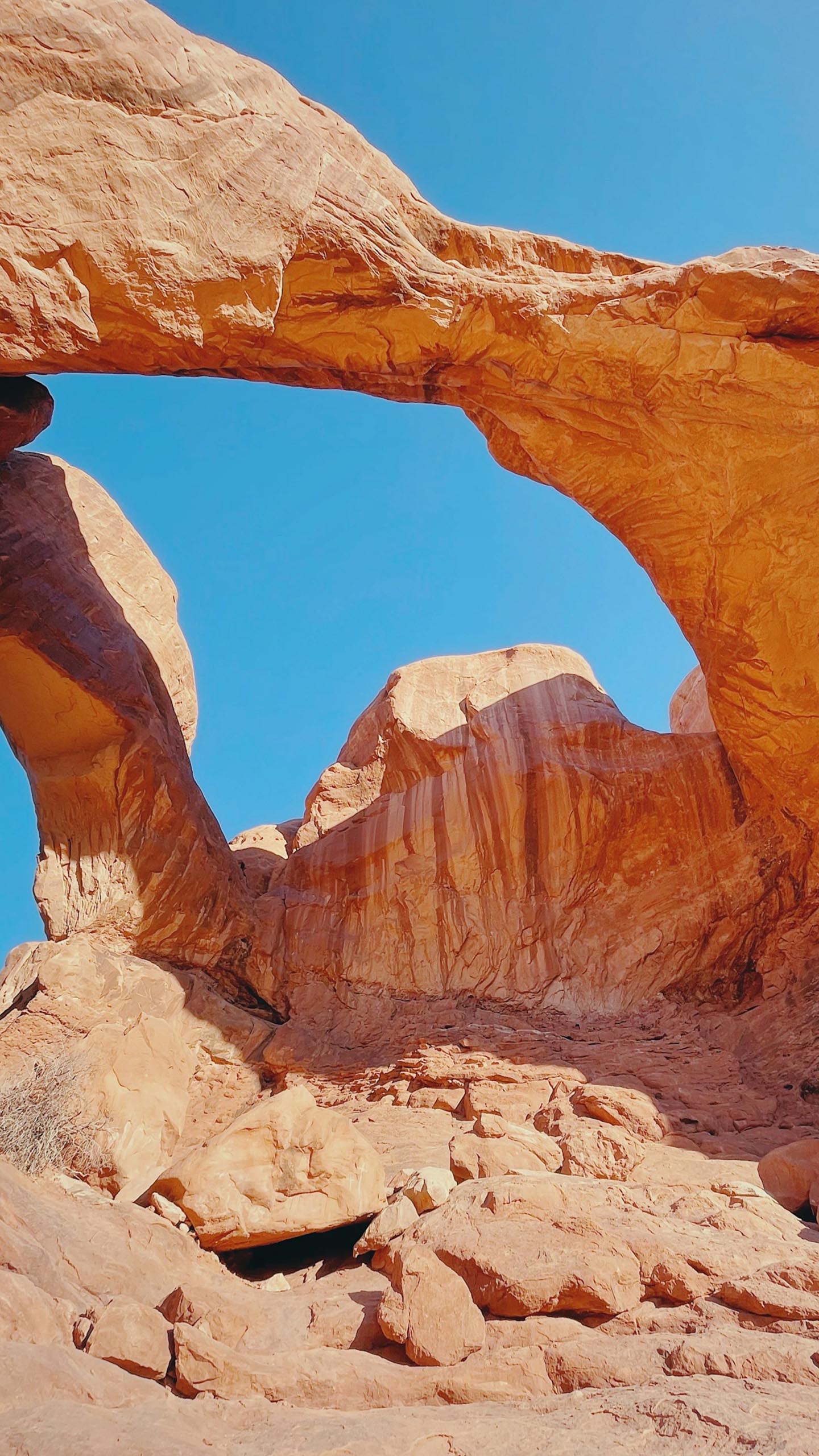 Timeless Arches