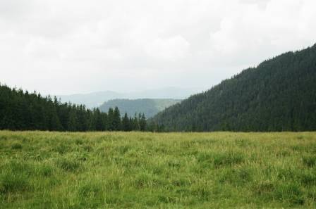 Grasslands Explained