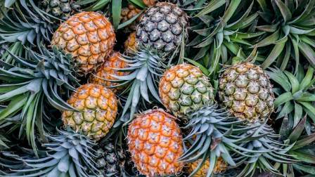8 Delicious Ways to Enjoy Pineapple This Summer