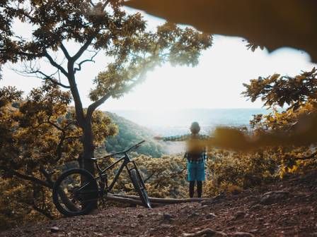 10 Compelling Health Benefits of Mountain Biking