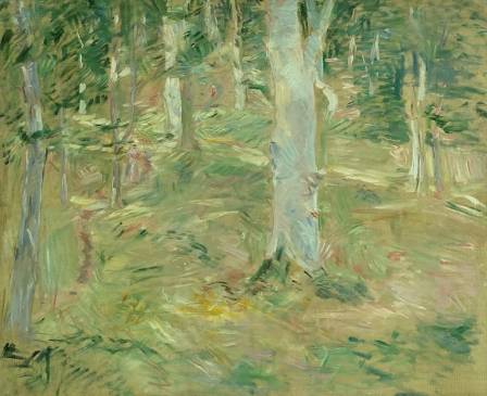 Discovering the Mysteries of the Ancient Wild: Artistic Perspectives on Forest Imagery