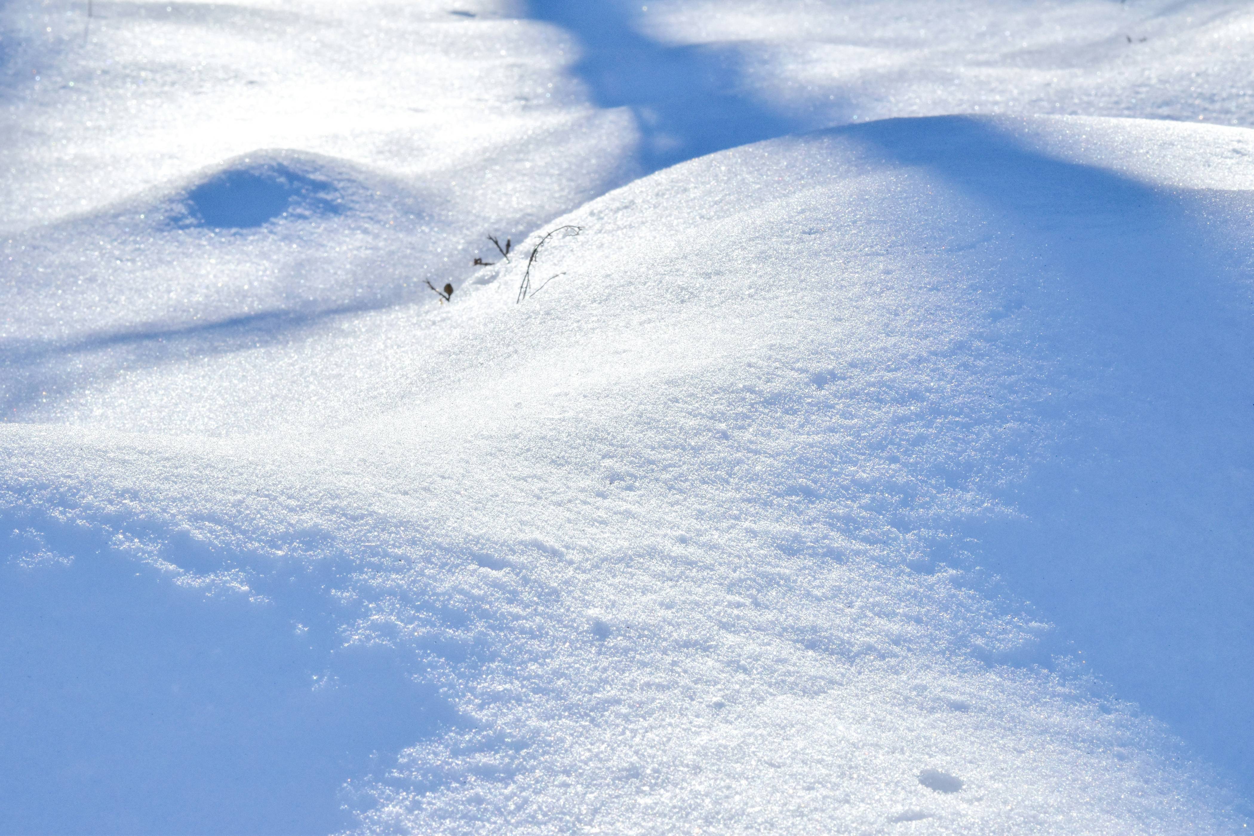 person walking on snow covered ground during daytime
