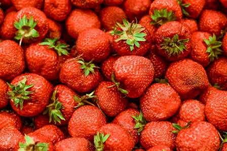 The Premier Eight Fruits for Optimal Wellness