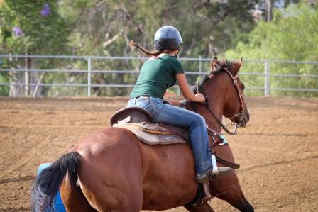 13 Horseback Riding Sports You Should Know