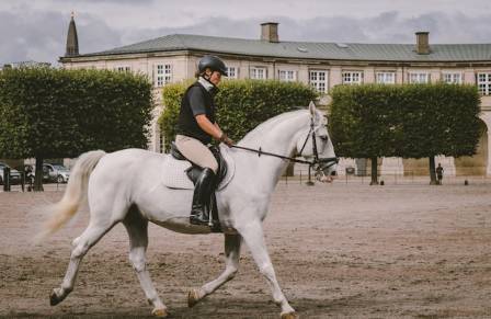 8 Amazing Benefits of Horseback Riding